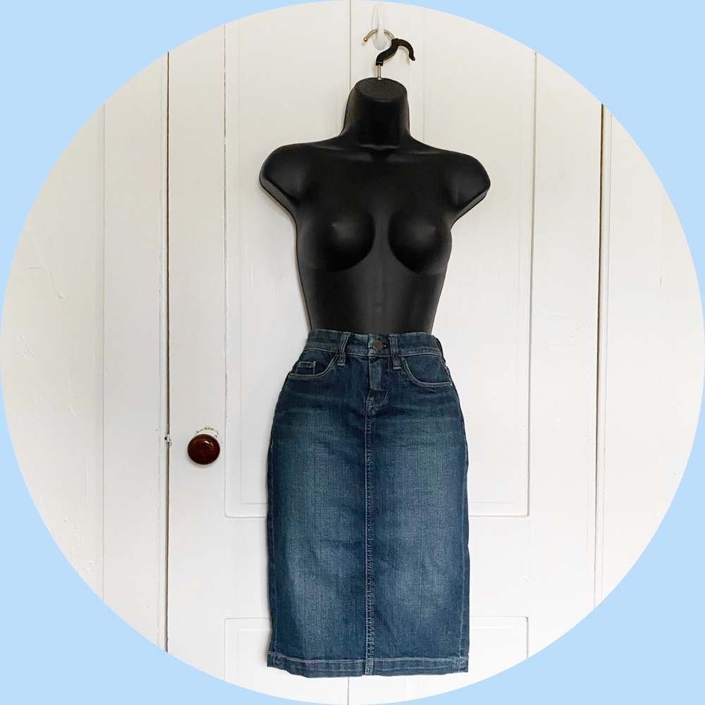 Blank NYC Faithful Denim Skirt